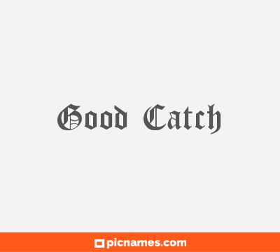 Good Catch